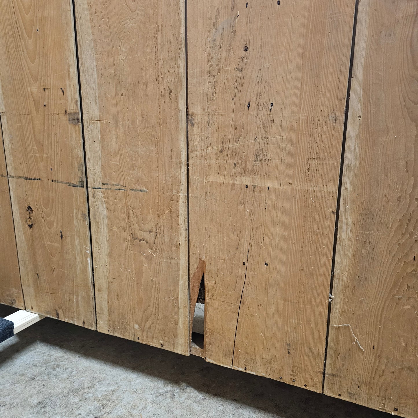 Monumental Antique English Pine Haberdashery - Circa 1880